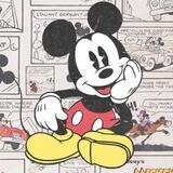 Mickey妙妙屋|招affman