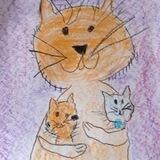 Милые кошечки