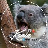 「کــ🐨ــوآلا!'」‌