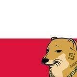 Cheems Inu *Poland*