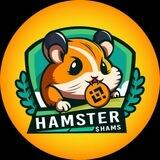 $HAMS Hamster 0/0 Tax BSC