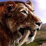 sabertoothtigercoin