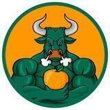 GreenBullDesigns