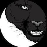 Meta Panthers