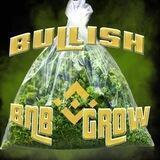Bullish BNB Grow