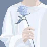忆佳项目转图群【禁🚫广告】