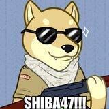 Shiba47!!! | Portal