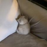 ^^