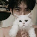 Alganteng
