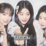 bloom fm