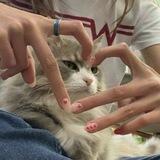 𝐂hér ♡̸ 𝐋ysh ! Close