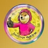 SquiDogeGrow Portal