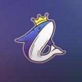 Team Whales