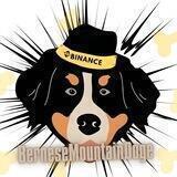 Bernese MountainDog