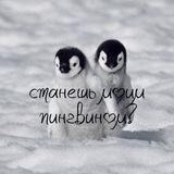 ᴄᴛᴀнᴇɯь ʍᴏиʍ ᴨинᴦʙинᴏʍ?