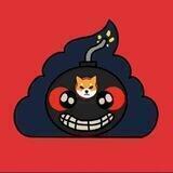 shinzhuoinu