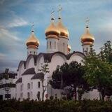 La Iglesia Ortodoxa ☦️