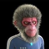 🐵2023 APE🐒