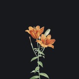 🍂 Outcast | Вывод средств
