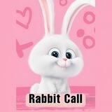 🐰RABBIT CALLS🐰