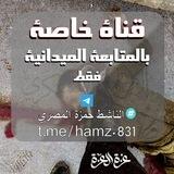قناة خاصة بالمتابعة الميدانية فقط