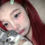 苹果im组结0.6