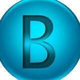 Big Search Network Official