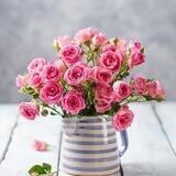 تزودوا🌺