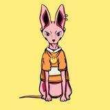 sphynx cat中文社区🇨🇳