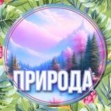 Прогулки на природе
