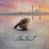 🌼بـچـھ‌ هـاے مـھـدوے🌼