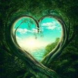 🕊️💚طاقة الحب وسلام💚🕊️