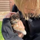 жизнь кисуль❤️