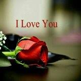 🌷شقایق سرخ🌷