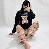 🐾Fimicollection🐾