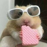 𝑵𝑨𝑺𝑯𝑬𝑵𝑨𝑺 𝑵𝑨𝑭𝑨𝑺♡