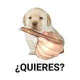 Quieres Inu portal