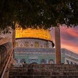 اخبار كل فلسطين 🇵🇸✌