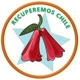 Recuperemos Chile