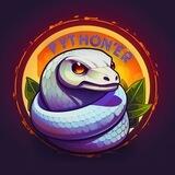 Python'er
