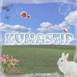 Kuma-stip: OPEENN!!