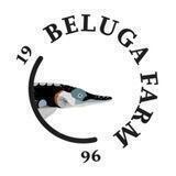 BelugaFarm