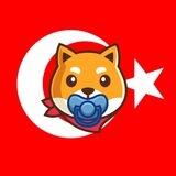BabyShibarium Turkey | BSC 💵💵
