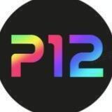 P12 | Project Twelve