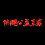 陈鹏公益直装