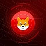 New Community Shiba (BSC)