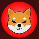 THE GREAT SHIBA