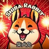 Shiba Rabbit 柴犬兔 Official BSC