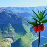 بەسەرهاتی مامۆستا محەمەد خزری