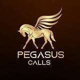 Pegasus Calls